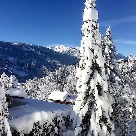 Apartment Haus Wilhelmer In Osttirol