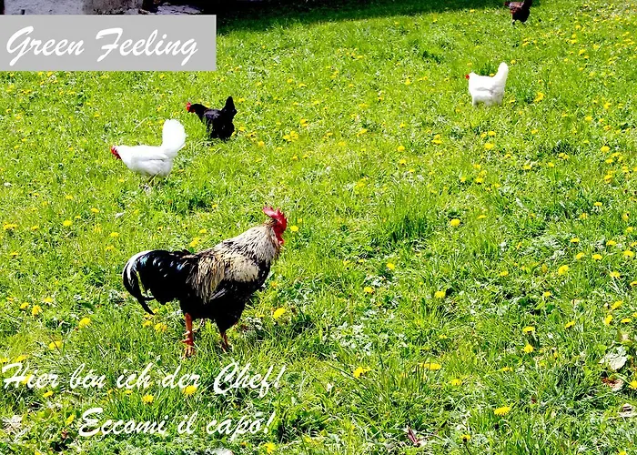 Haus Wilhelmer In Osttirol *