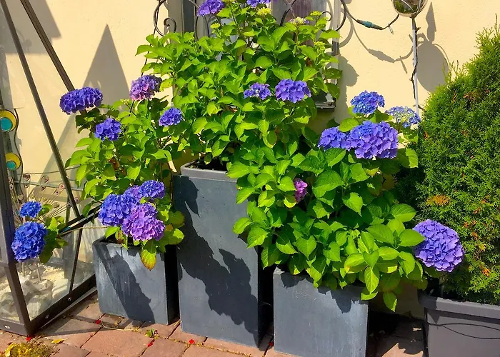 Haus Wilhelmer In Osttirol Sillian