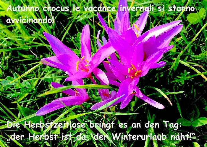 Haus Wilhelmer In Osttirol * Sillian