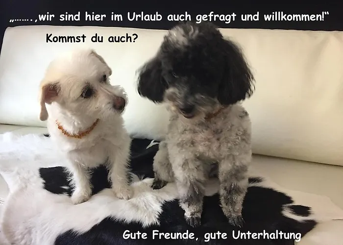 Apartament Haus Wilhelmer In Osttirol