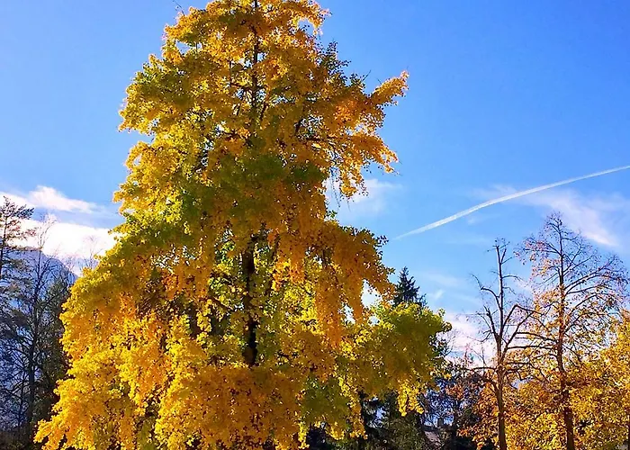 Apartament Haus Wilhelmer In Osttirol