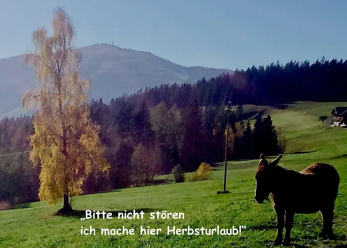 Apartament Haus Wilhelmer In Osttirol