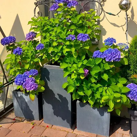 Haus Wilhelmer Sillian