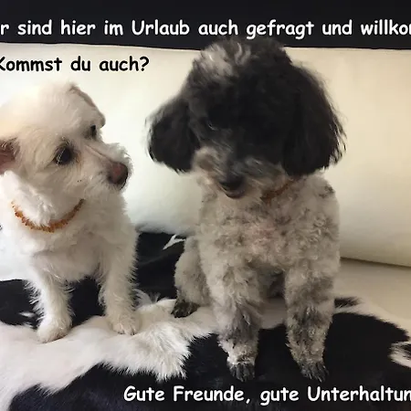 Apartment Haus Wilhelmer