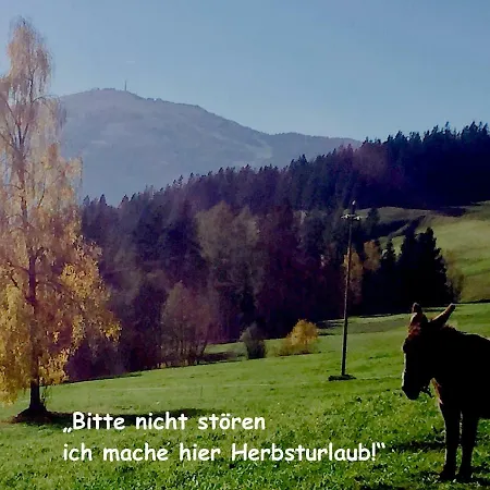 Apartment Haus Wilhelmer